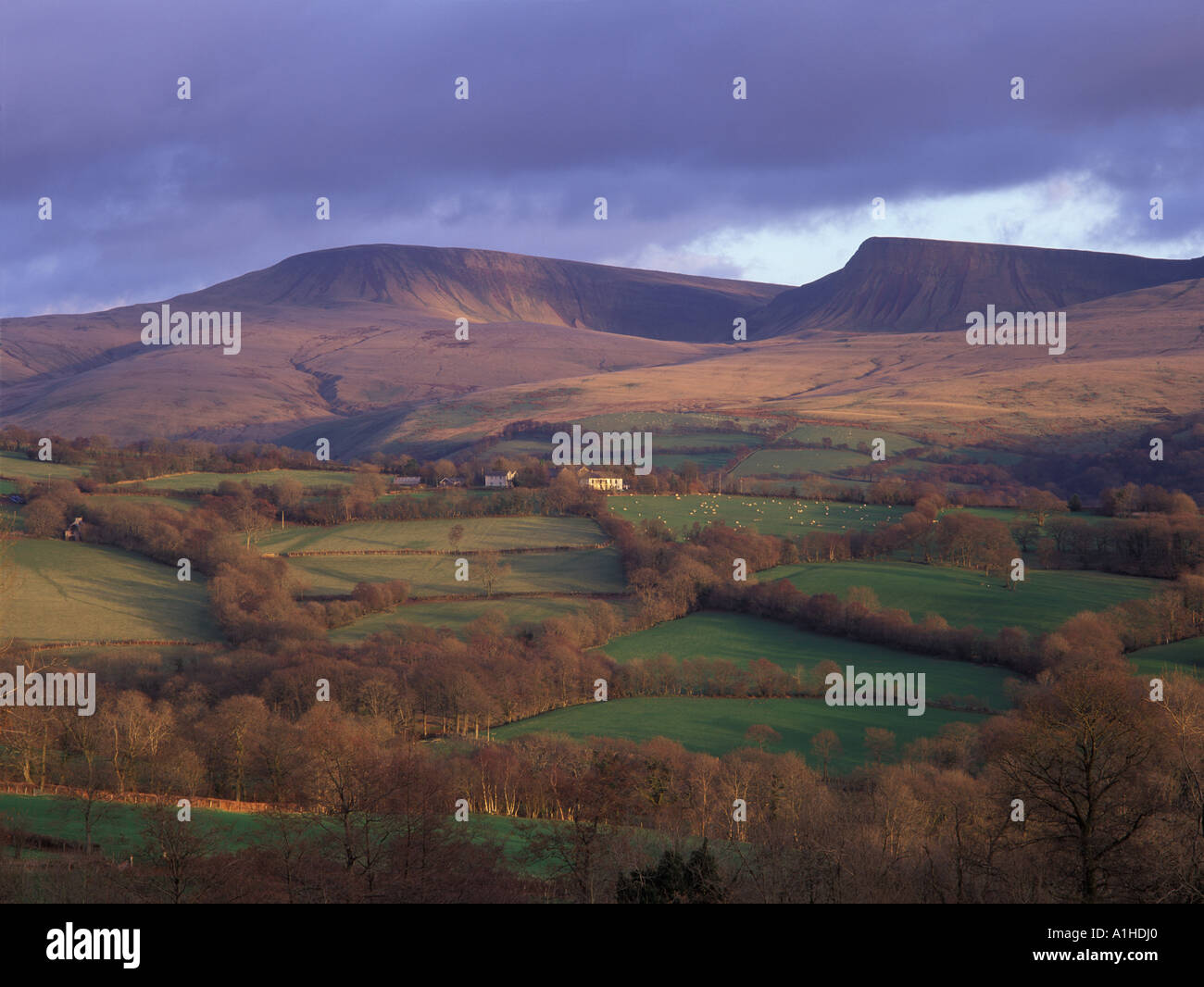 Der Black Mountain Brecon Beacons Wales UK Stockfoto