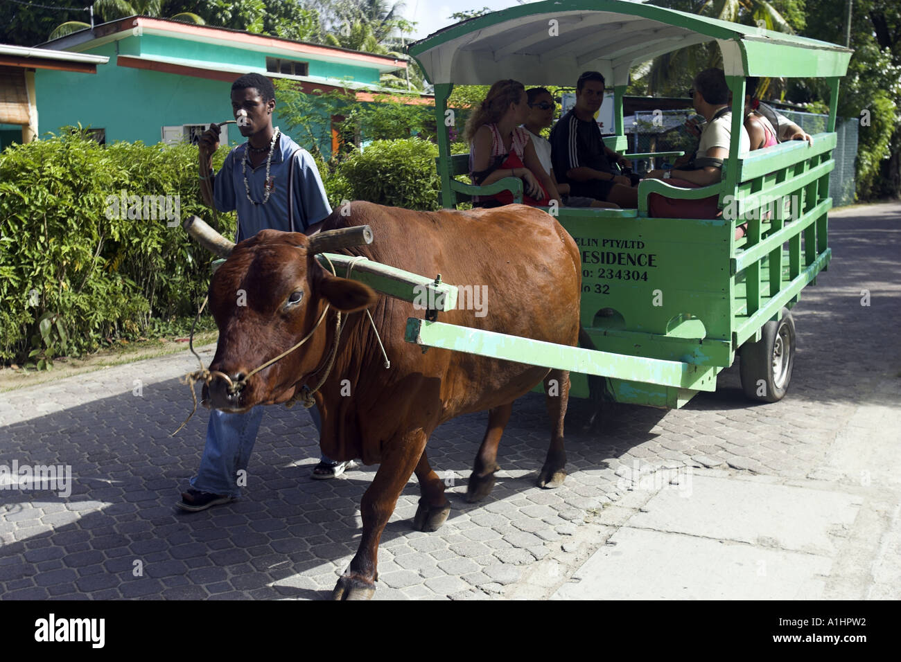Ochsen-tour Bus Praslin Seychellen Stockfoto