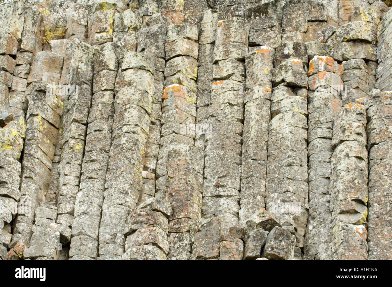 Säulenförmigen Basalt im Sheepeater Cliff im Yellowstone-Nationalpark, Wyoming, USA Stockfoto