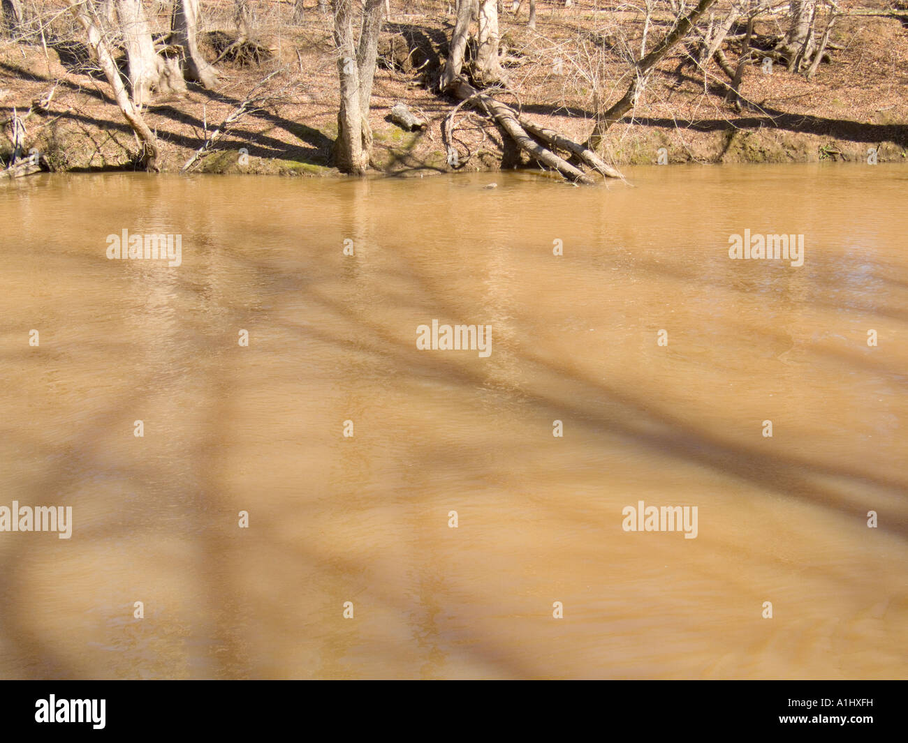 Deep River Randleman North Carolina NC schmutziger schlammiger braunen Fluss ausgesetzt Partikel Stockfoto