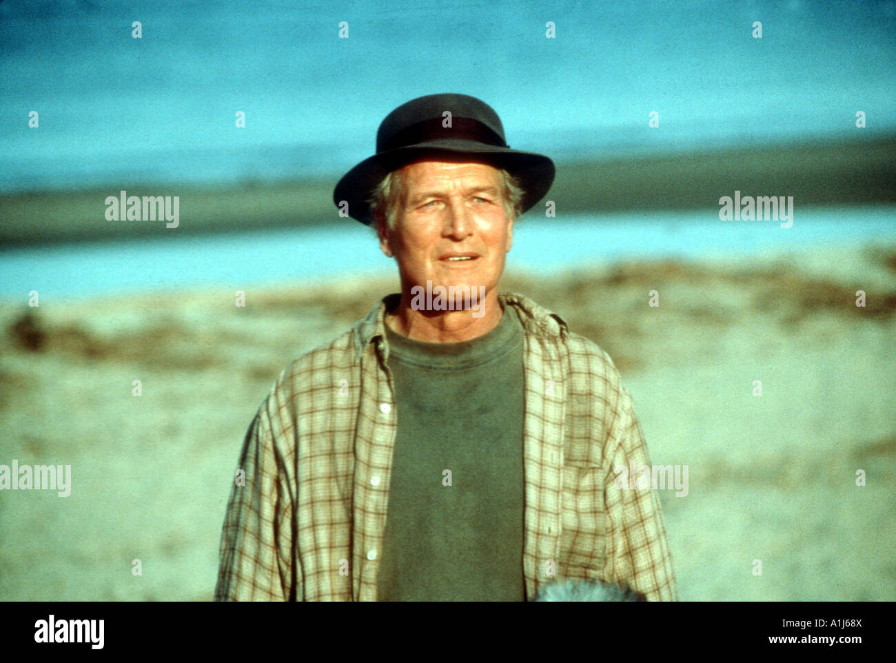 Nachricht In einer Flasche Jahr 1999 Regisseur Luis Mandoki Paul Newman Stockfoto