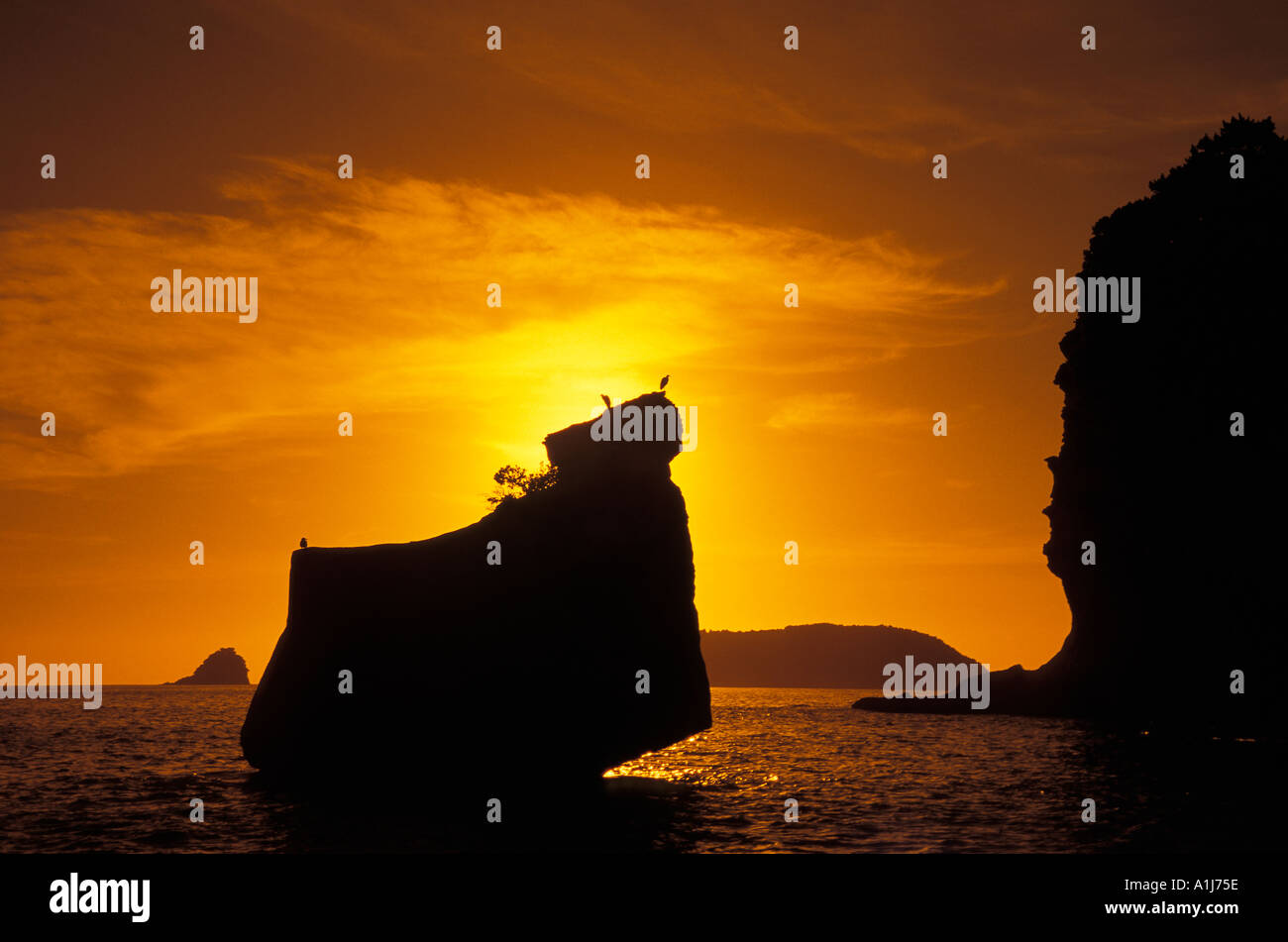 Cathedral Cove Coromandel Halbinsel New Zealand Stockfoto