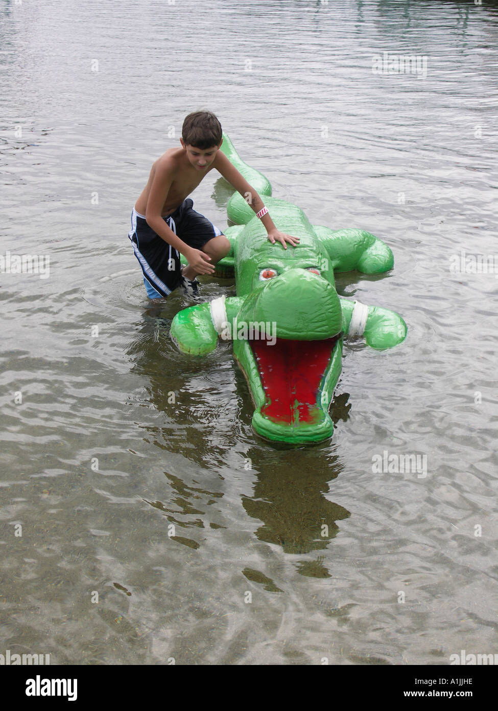 Spielzeug-Alligator Stockfoto