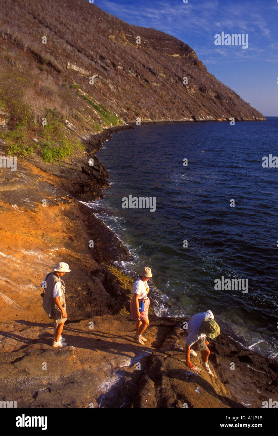 Touristen, Tagus Cove, Insel Isabela, Albemarle Insel, Galapagos-Inseln, Ecuador, Südamerika Stockfoto