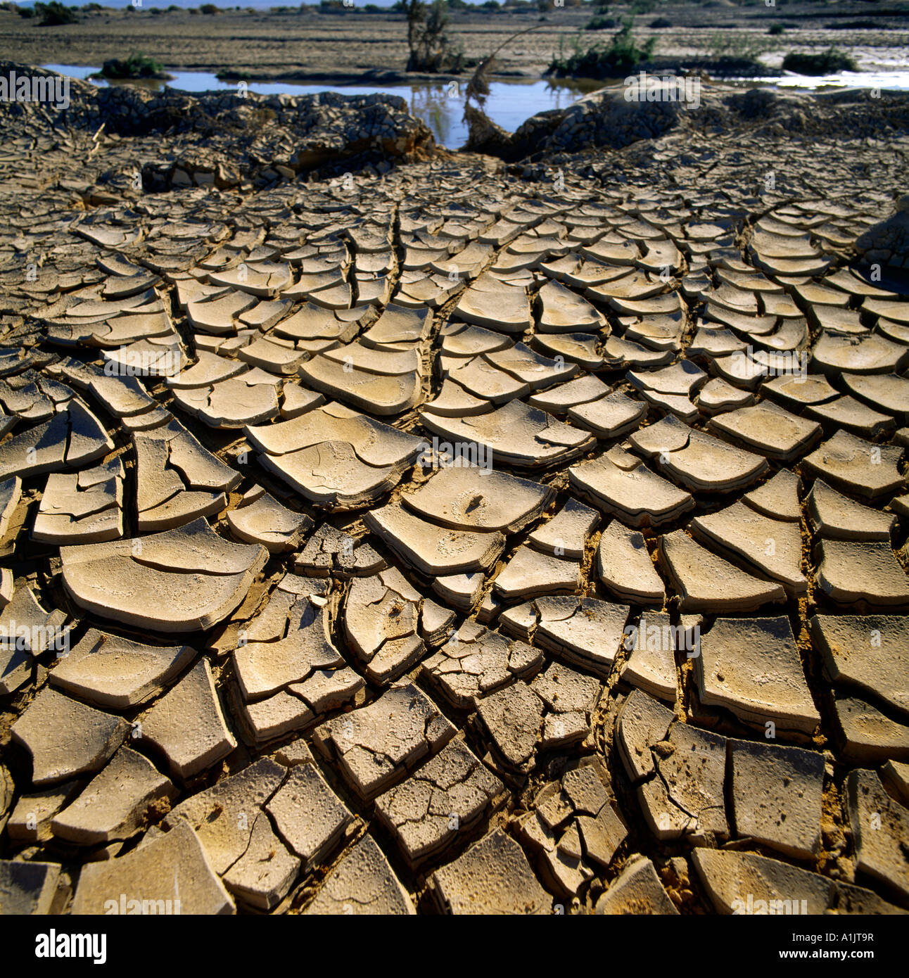 Tunesien-Trockenheit rissig Boden Chott Er Rahim Stockfoto