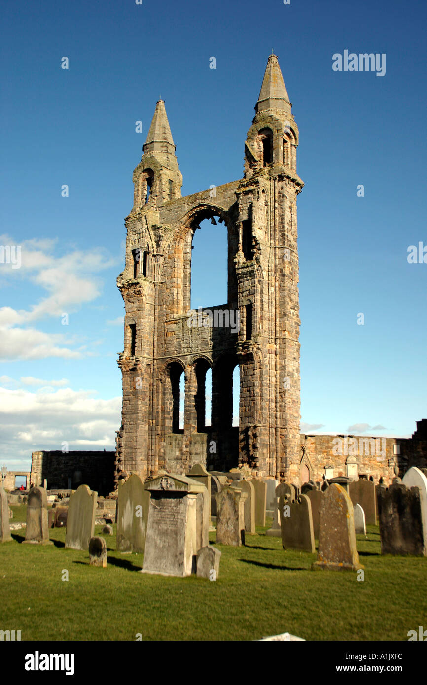 St Andrews Schottland St Regeln Kathedrale Stockfoto