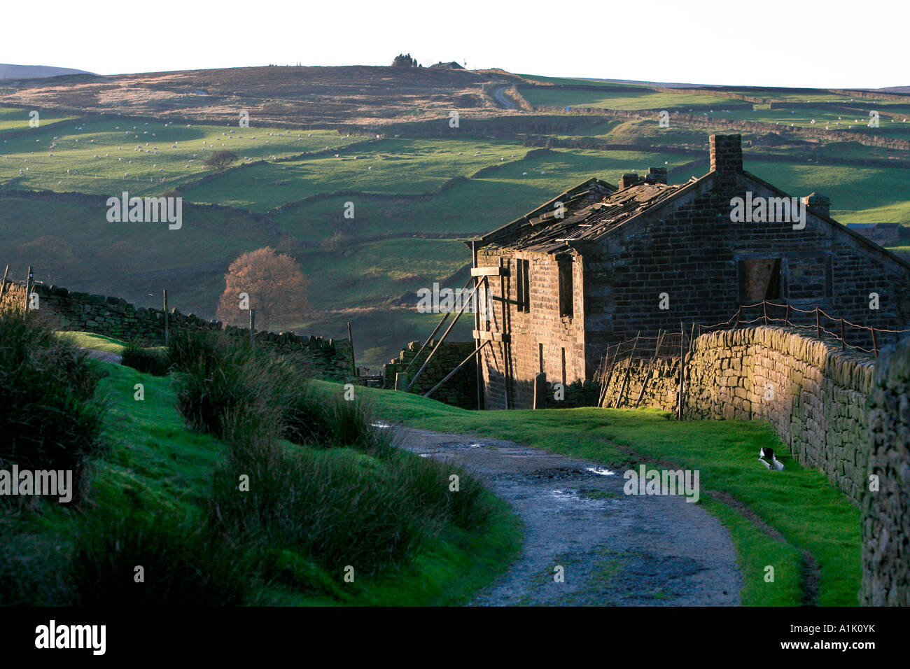 Verfallenes Bauernhaus auf Moorland über Haworth Stockfoto