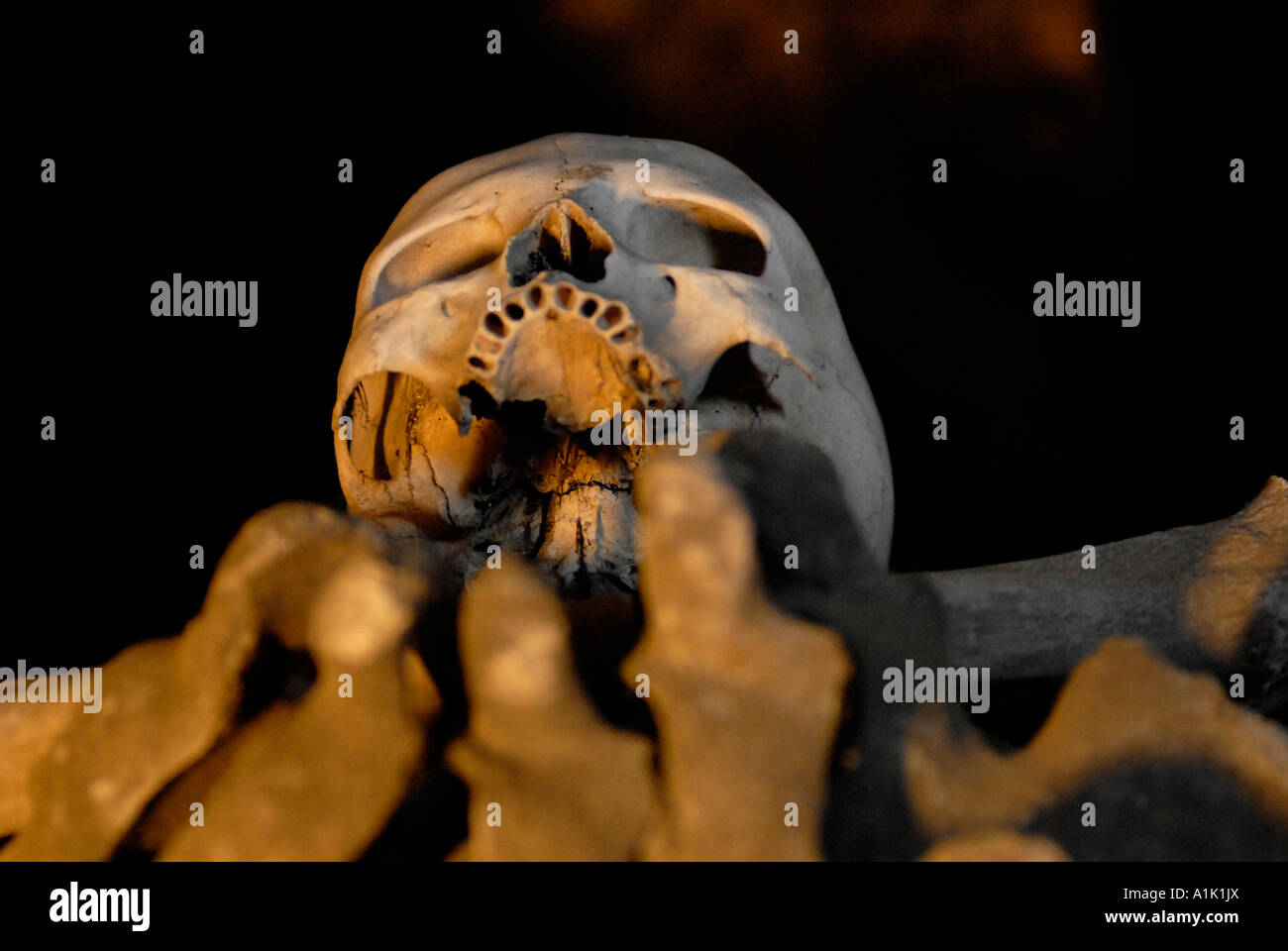 Skull &amp; Bones, Sedlec Ossuary Kapelle, Kutna Hora, Tschechien Stockfoto