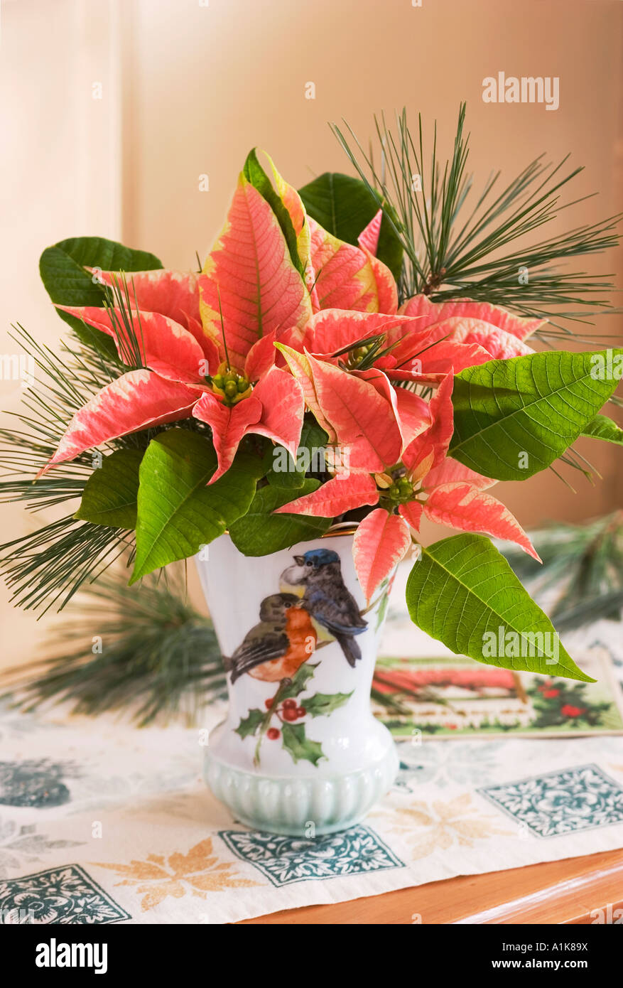 Stillleben mit Weihnachtssternen in einer Vase von Weihnachten auf eine  saisonale Lufer Stockfotografie - Alamy