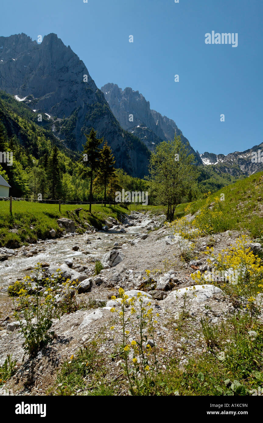 Kaisertal auf den Wilden Kaiser-Tirol-Österreich im Kaisergebirge mit den Kaiserbach Stockfoto