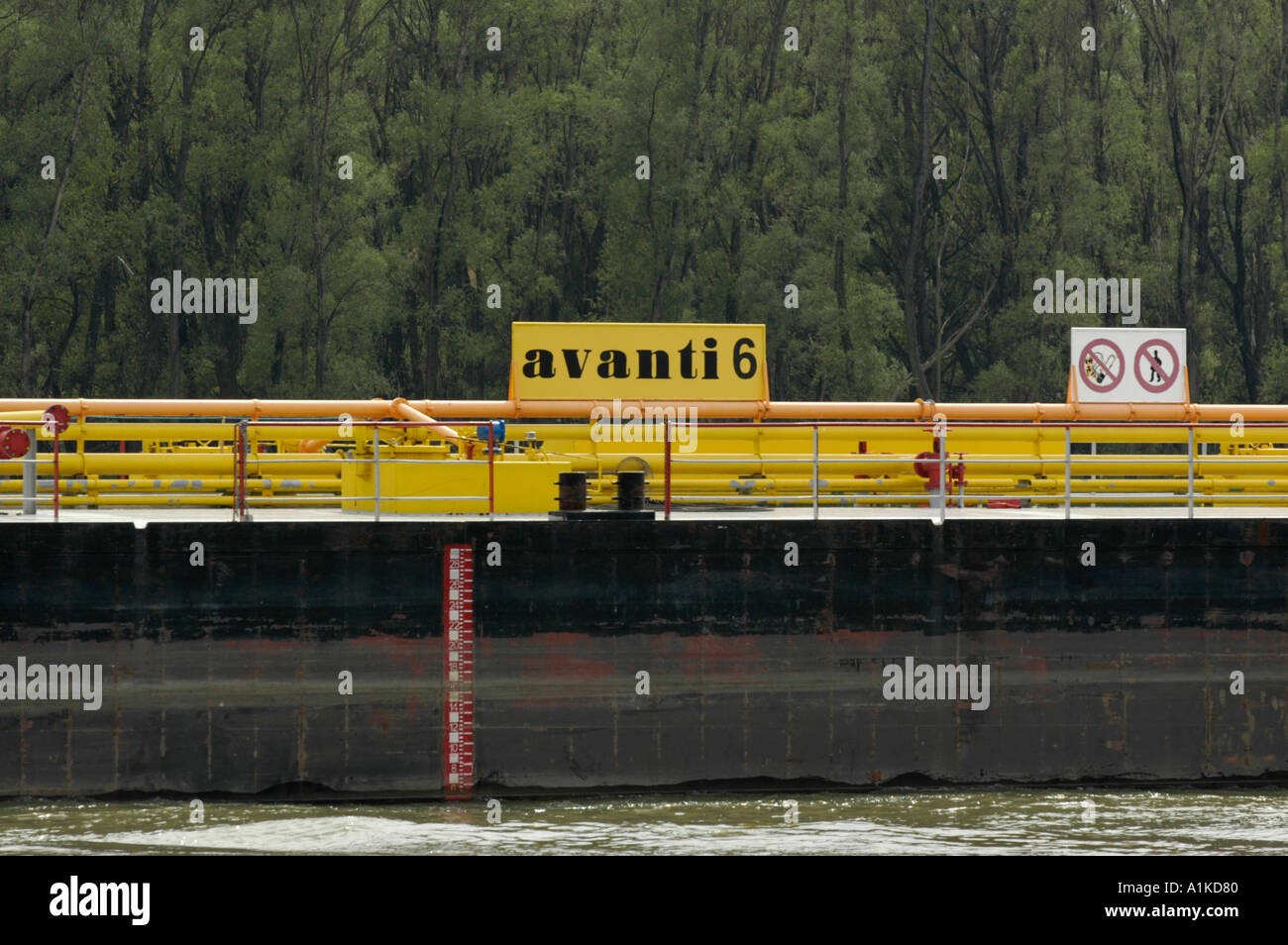 Schönau an der Donau, Auenwäldern, Cargo Ship avanti Stockfoto