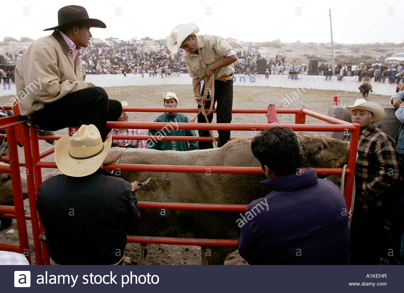 Mexikanische Rodeo Jaripeo Grossten Bullen Und Besten Fahrer Kommen