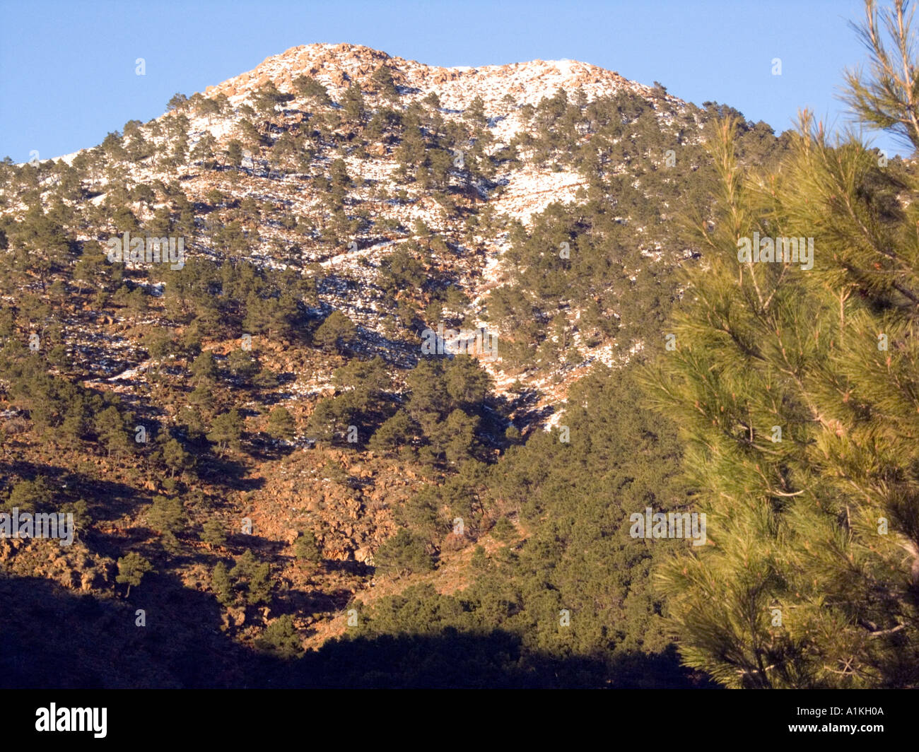 Schnee auf Spanisch Berge - Sierra de Nieves - Las Serranías de Ronda  Mountain pass, Andalusien, Spanien, Schnee in Spanien Stockfotografie -  Alamy