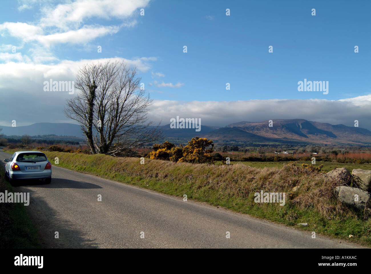 Ländliches Motiv im südlichen Irland Irland EU Monavullagh Berge in der Nähe von Waterford Stockfoto