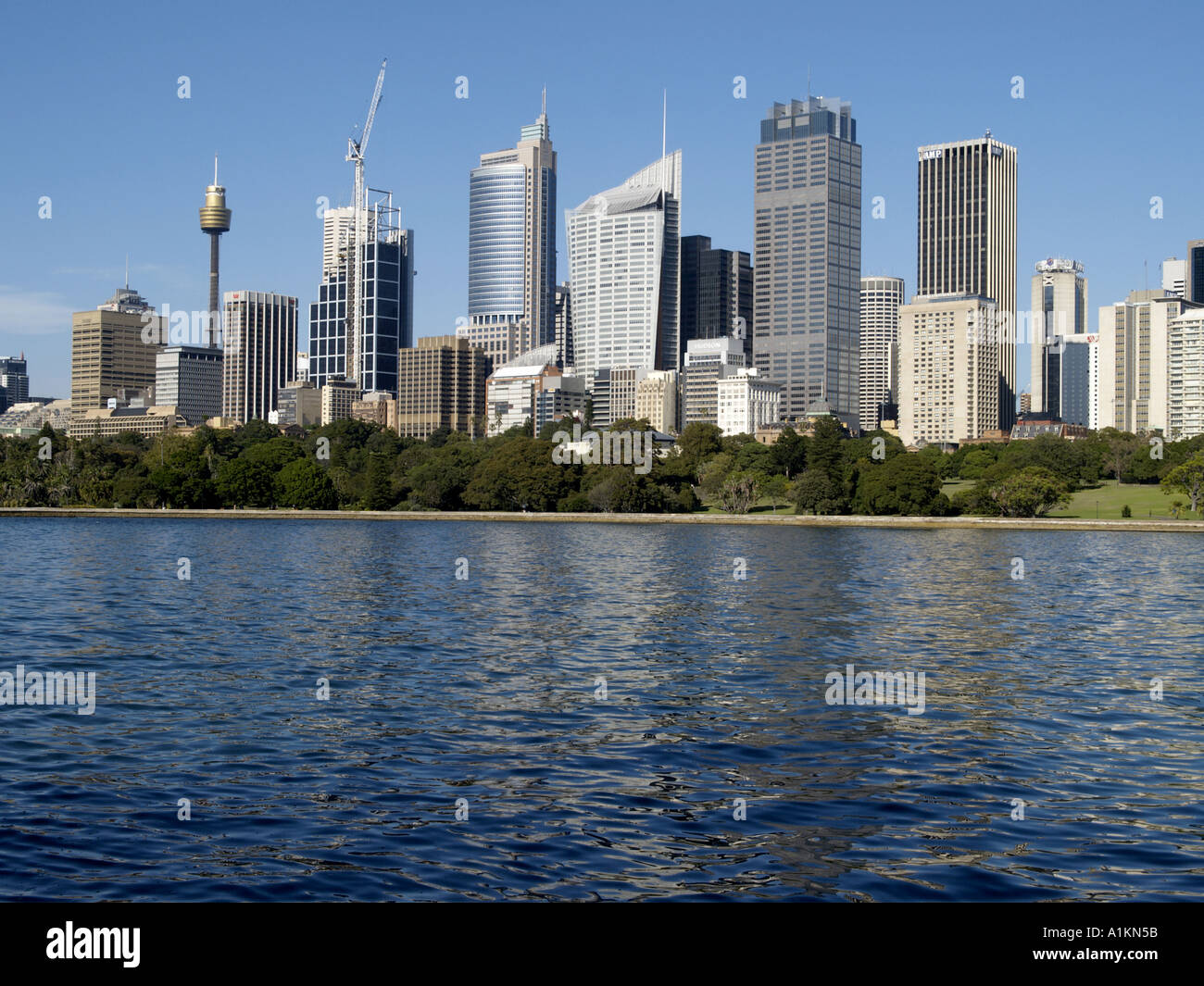 Blick von Mrs Macquaries point über Farm Cove in Richtung amp Tower und anderen Wolkenkratzern Sydney New South Wales, Australien Stockfoto