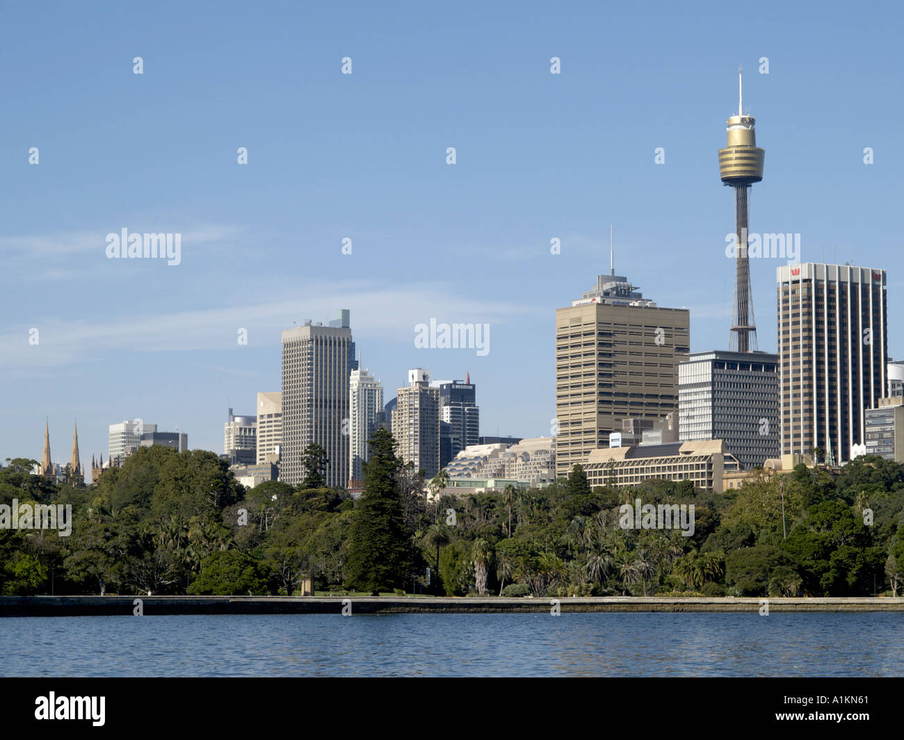 Blick von Mrs Macquaries point über Farm Cove in Richtung amp Tower und anderen Wolkenkratzern Sydney New South Wales, Australien Stockfoto