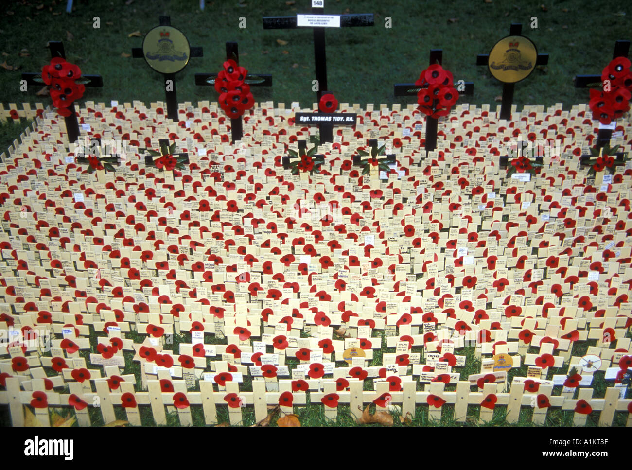 Gedenktag Kreuze und roter Mohnblumen für die Kriegtot vor der Westminster Abbey in London, Waffenstillstandstag, 11. November Stockfoto