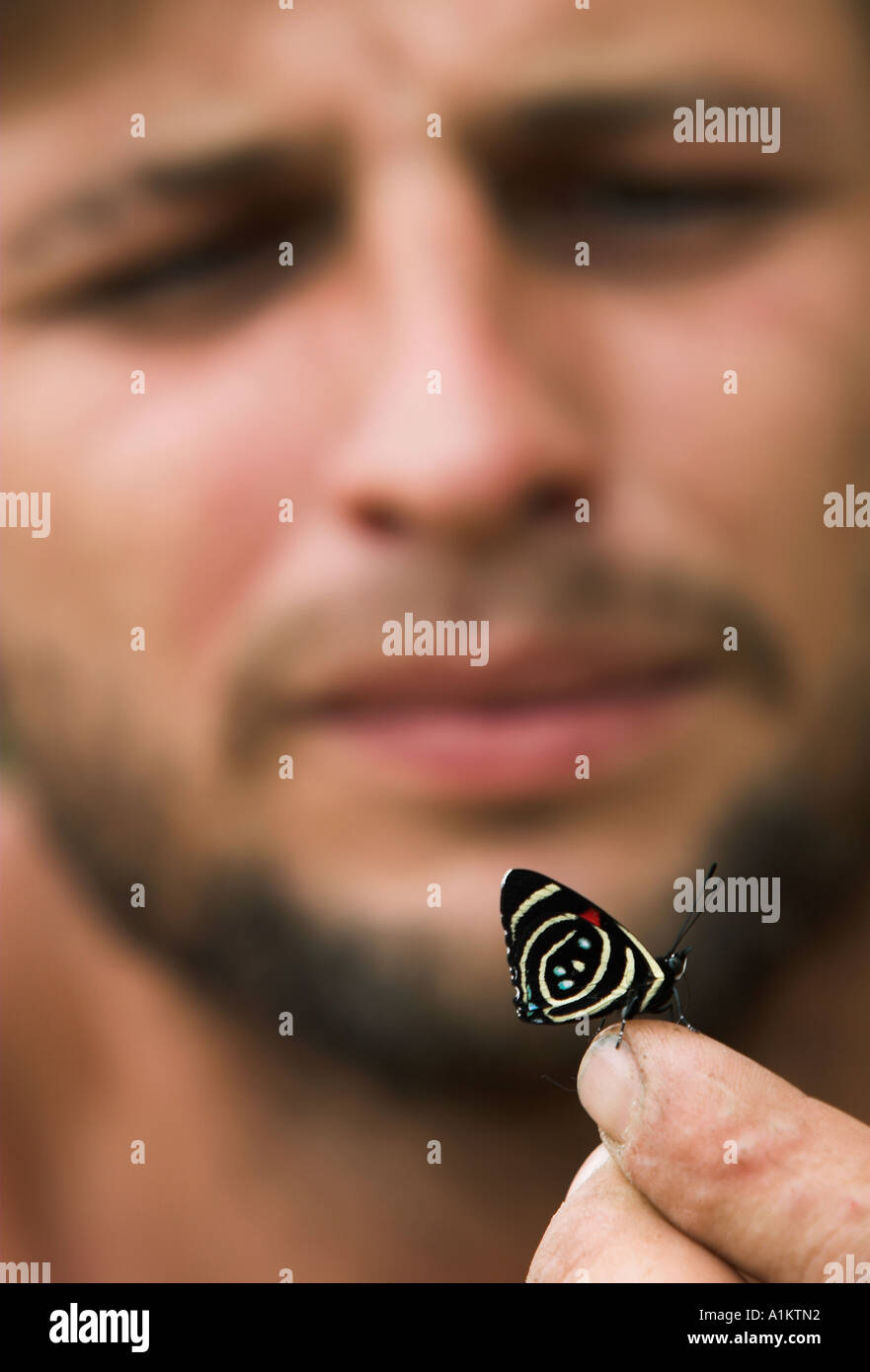 Mann sucht eine farbenfrohe Schmetterling an einem tropischen Ort Stockfoto