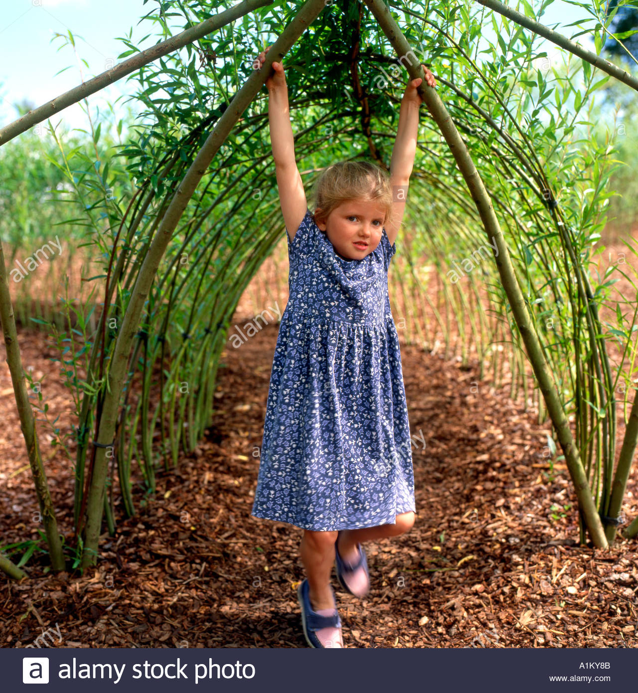 Ein Kind spielt auf einer Weide Struktur auf Spielplatz an der National Botanic Gardens of Wales Carmarthenshire UK KATHY DEWITT Stockfoto