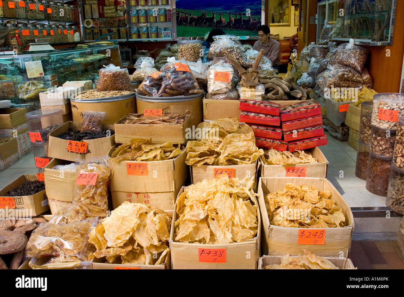 Traditionelle Apotheken in Sheung Wan, Hong Kong, China Stockfoto