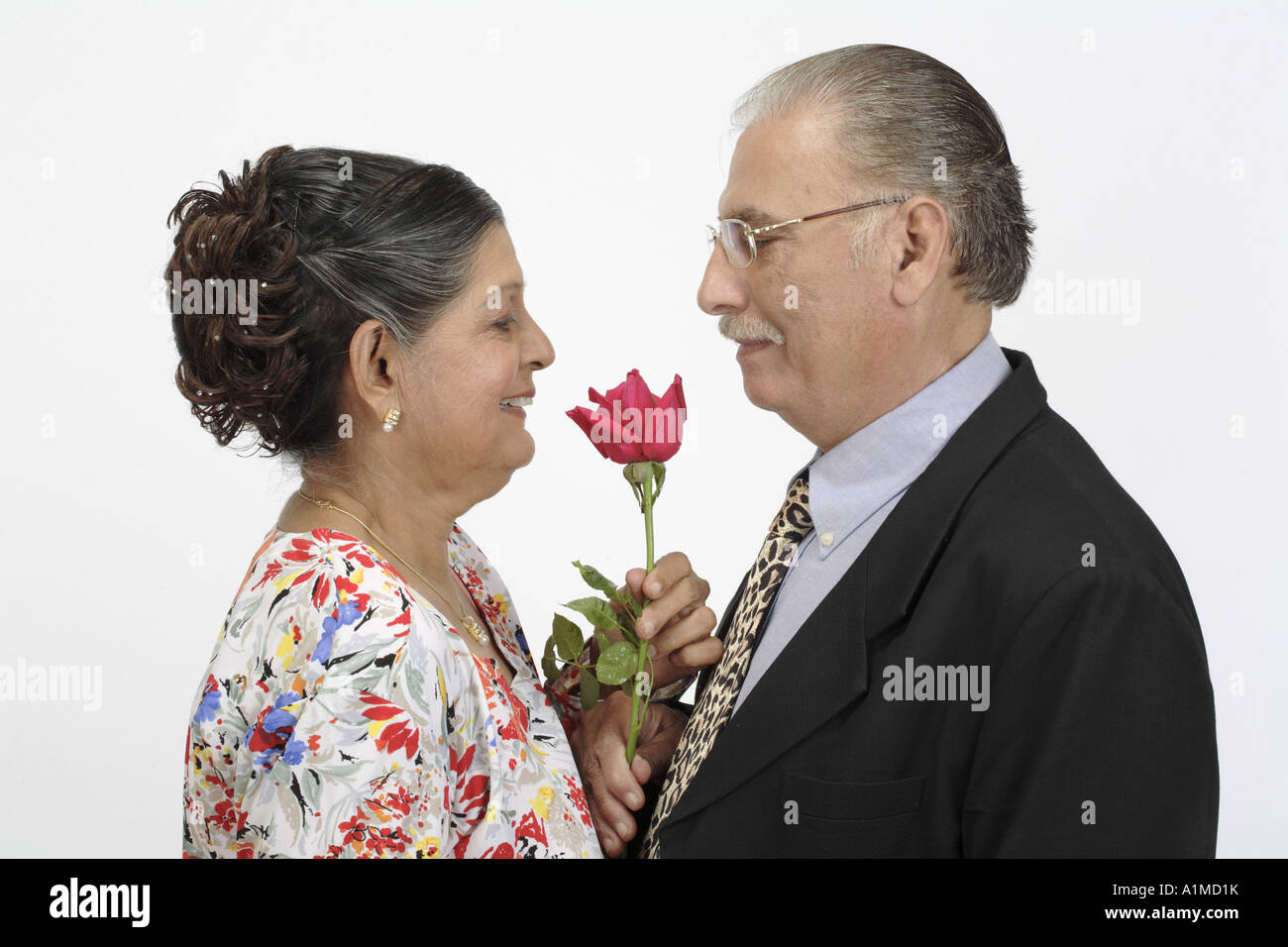 Liebevoller indische Senioren paar Ehemann bietet rose Blume happy birthday Frau Stockfoto