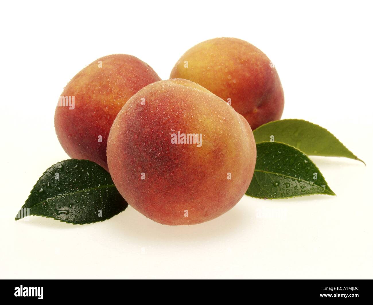 Drei frische Pfirsiche mit Blättern und Wassertropfen 1 Stockfoto