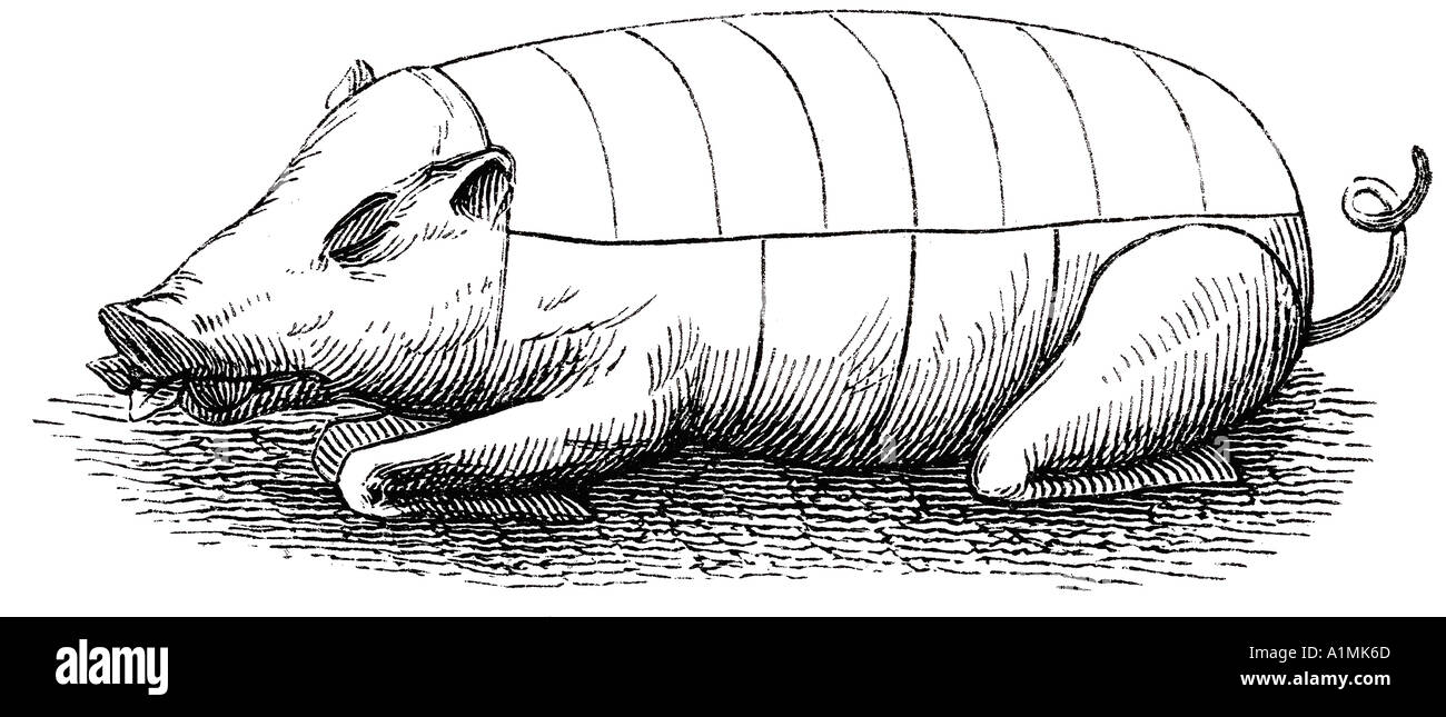 Suckling Pig Abbildung Stockfoto