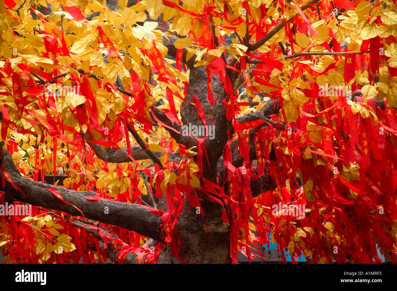 Roten Wunsch Noten hängen von der goldenen glückliche Baum in Shanghai Yuyuan Bazar Stockfoto