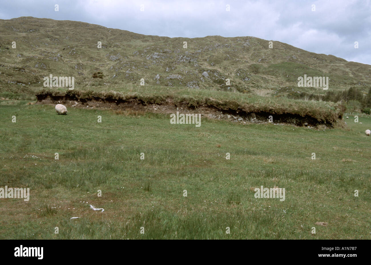 Teernahillane Ring Fort Castletownbearhaven Co Cork Irland V643460 Stockfoto