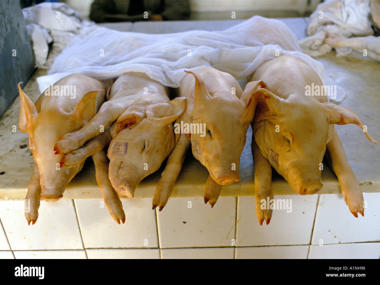 ZENTRALMARKT MOSKAU Stockfoto