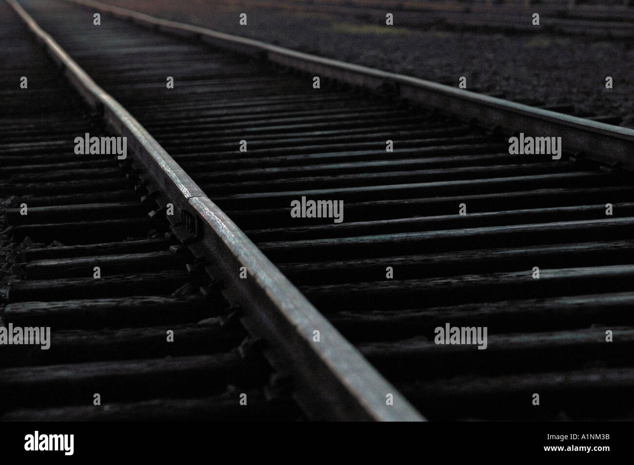 2 Auschwitz-Birkenau. Die Bahnstrecke, die zu den Gaskammern in Auschwitz führt. Stockfoto