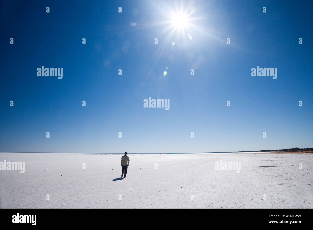 Fußgänger auf See Hart Stuart Highway in der Nähe von Woomera Outback Australien Südaustralien Stockfoto