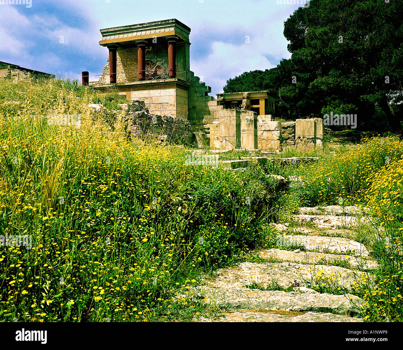 GR - Kreta: Knossos Ort Stockfoto