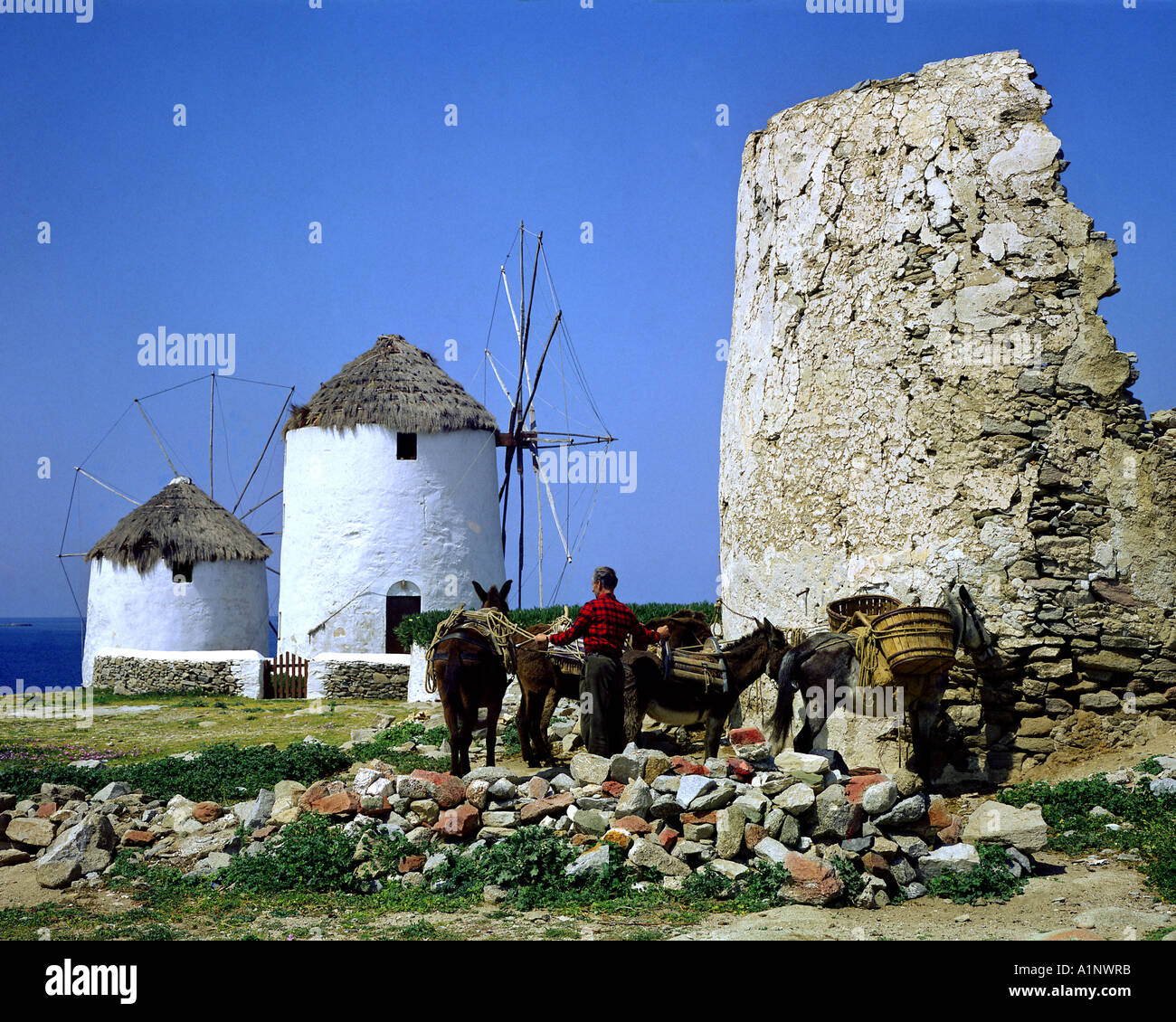 GR - Insel MYKONOS: Windmühlen auf der Insel Stockfoto