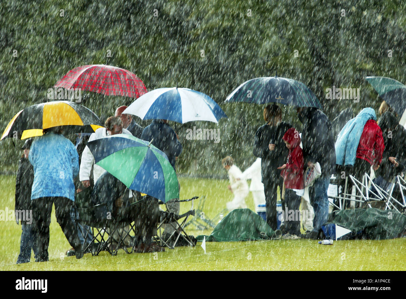 Eine Gruppe von Zuschauern bei einem Cricket-Spiel laufen unter dem Deckmantel des Regenschirmes vor dem Regen. Stockfoto