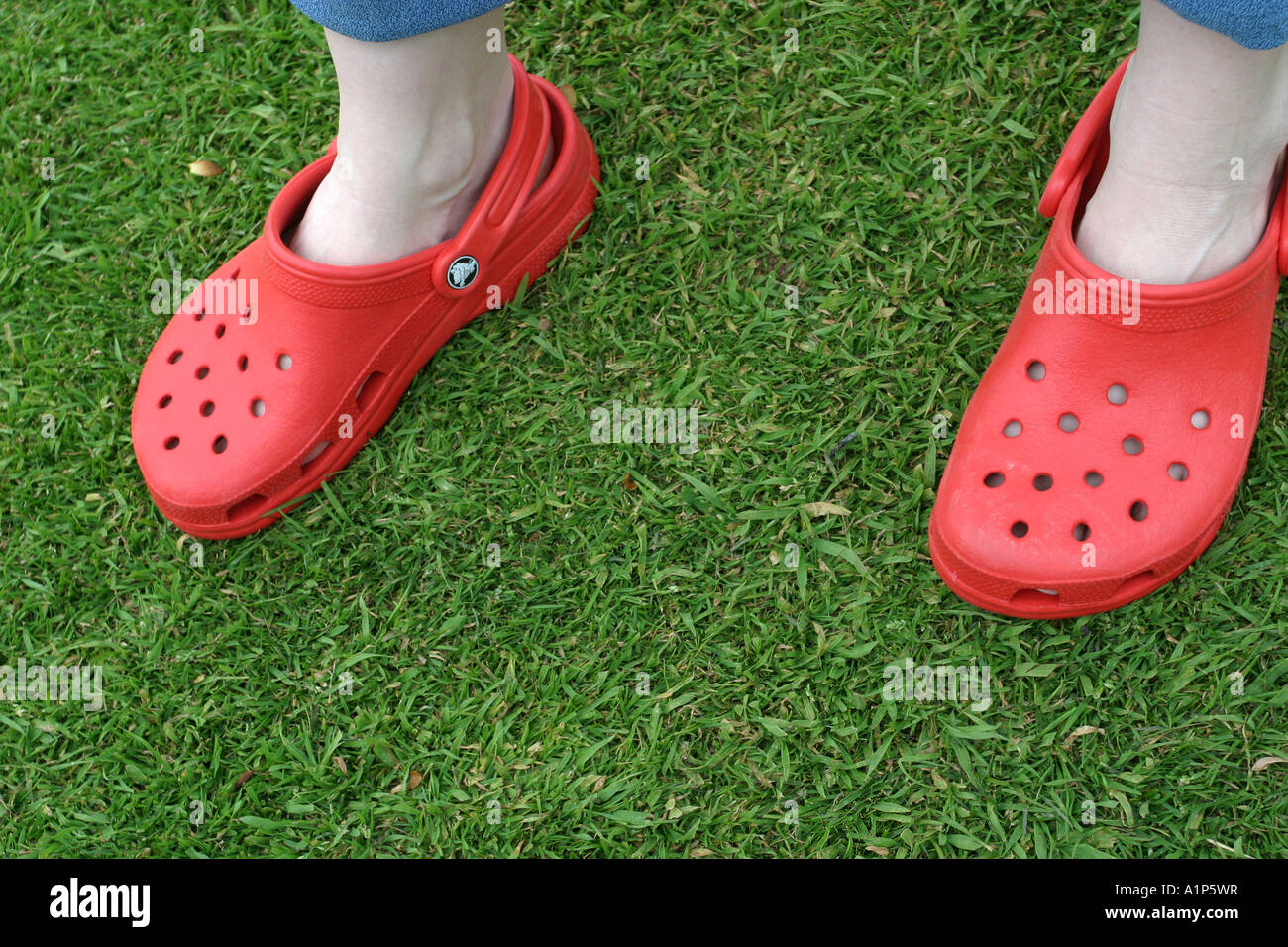 Crocs Stockfoto