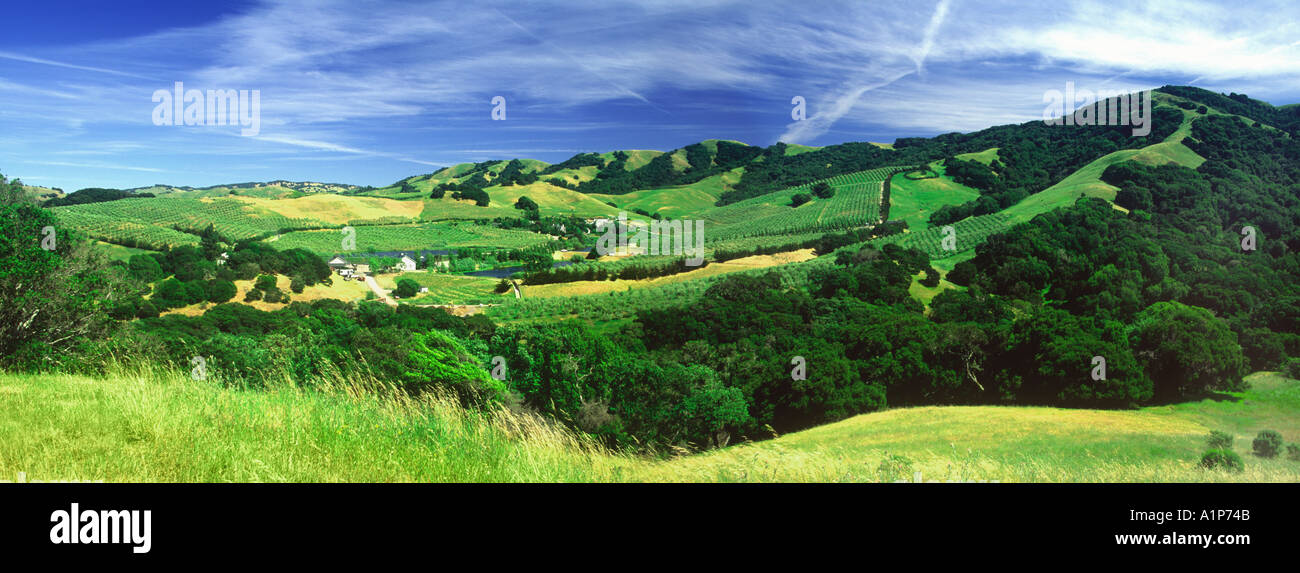 Panorama von Bauernhof und Hügel in der Nähe von der Russian River Nordkalifornien Stockfoto