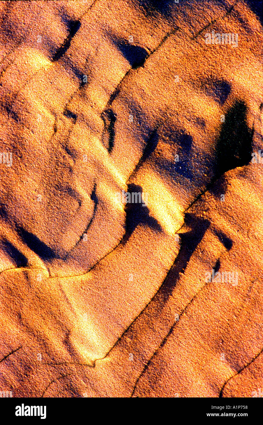 Sanddünen National Seashore South Padre Island Texas hautnah Stockfoto