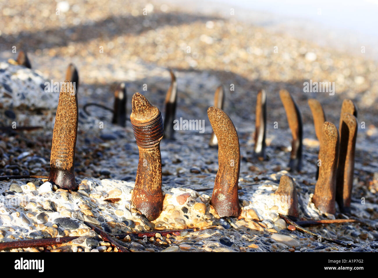 Phallische Gegenstände aus Metall in einem mysteriösen Kreis an einem Strand Stockfoto