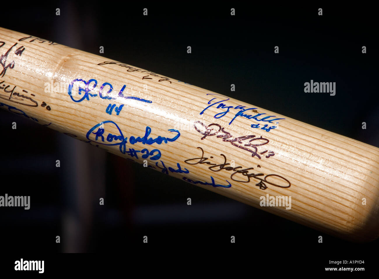 Autogramme auf einem Baseballschläger Stockfoto