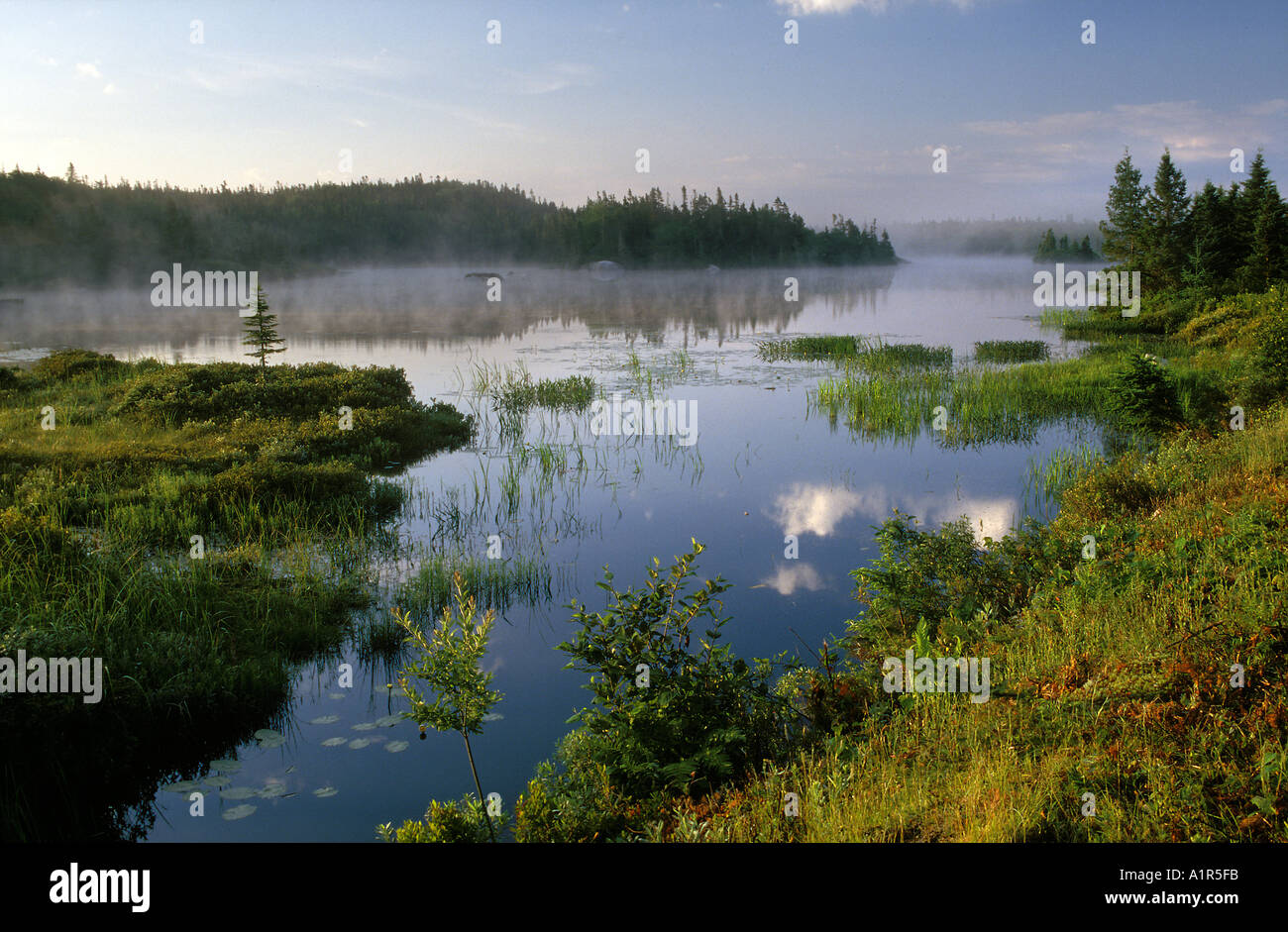 Feuchtgebiete Sunrise Northwest Cove Nova Scotia Stockfoto