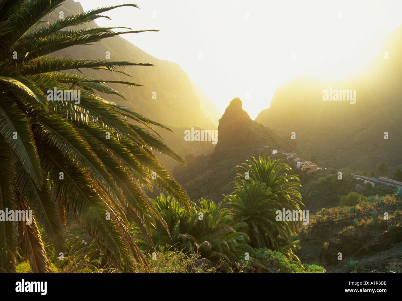 Spanien-Kanarische Inseln-Teneriffa-Masca Stockfoto