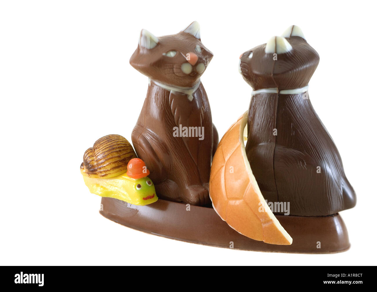 Chocolate Katzen und Schnecke Stockfoto