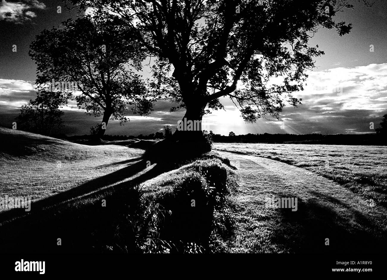 Navan Fort, Co.Armagh-Nordirland Stockfoto