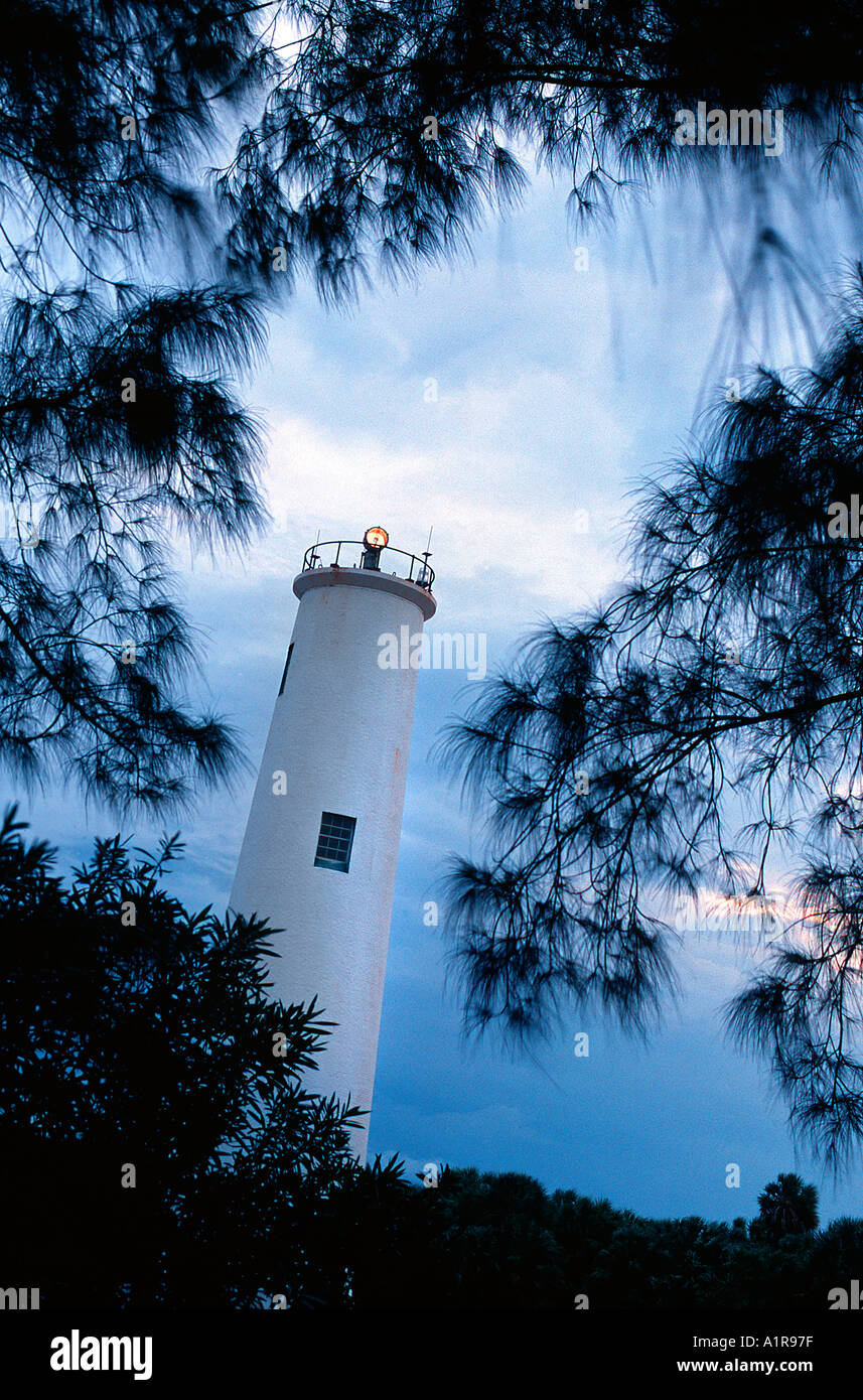 71 Fuß hohe Bäume Leuchtturm umrahmt von Australian Pine auf Egmont Key am Eingang zum Tampa Bay gelegen und etwa sechs Meilen w Stockfoto