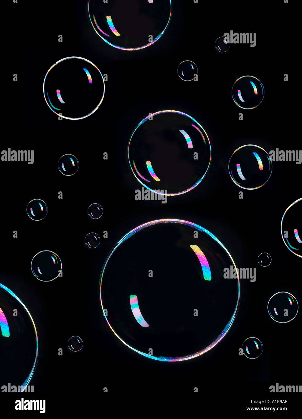 Schwebende Seifenblasen mit schwarzem Hintergrund im Studio Stockfoto