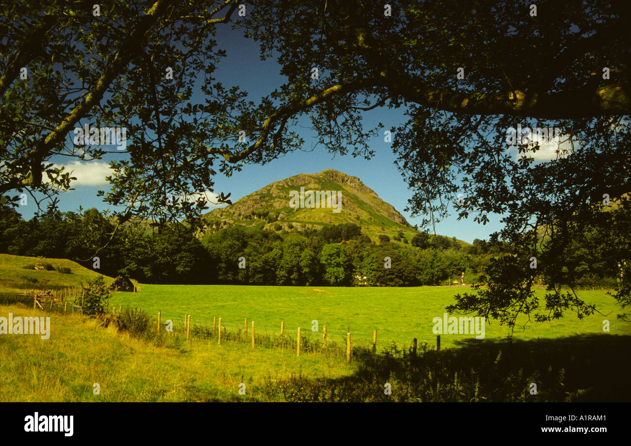 Helm Crag der Löwe und das Lamm im Sommer Grasmere Lake District National Park Cumbria England Vereinigtes Königreich GB Großbritannien Stockfoto