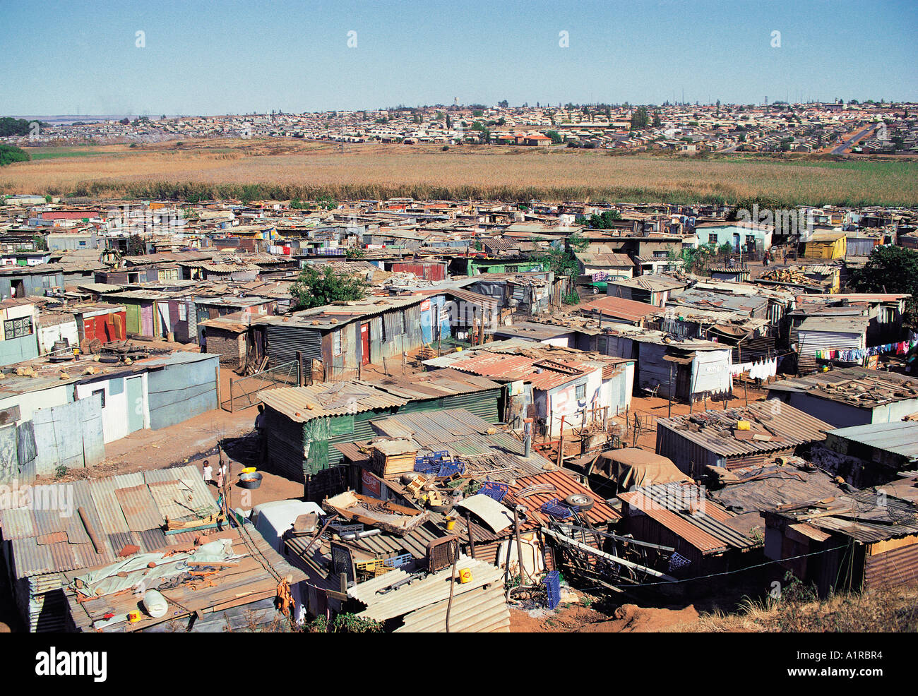 Häuser in Shanty Town Bereich von Soweto nahe Johannesburg in Südafrika Stockfoto