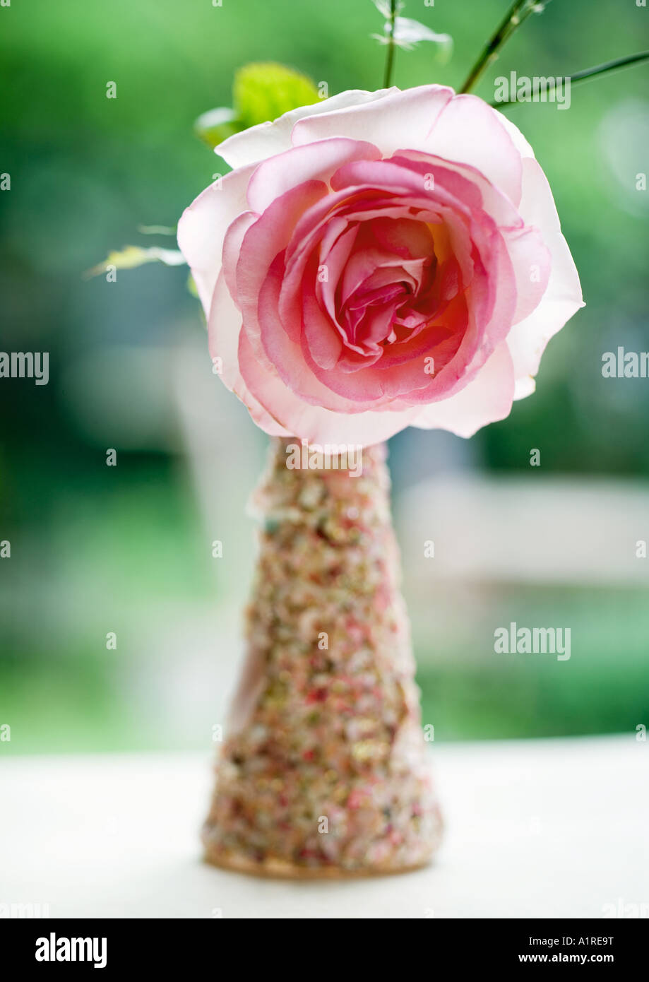 Blume in vase Stockfoto