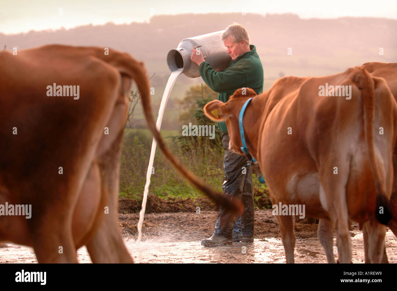 MOLKEREI-BAUER DAVID HANDLEY VORSITZENDER DES BAUERN FÜR MAßNAHMEN, DIE WEG GEGOSSEN MILCH SEINE MORGEN AUS PROTEST GEGEN SUPERMÄRKTE WHOL Stockfoto